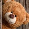 peluche707